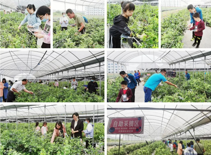 微信截图_20230213113153.png