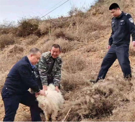 每一天，临汾隰县公安都做“雷锋式”警察421.png