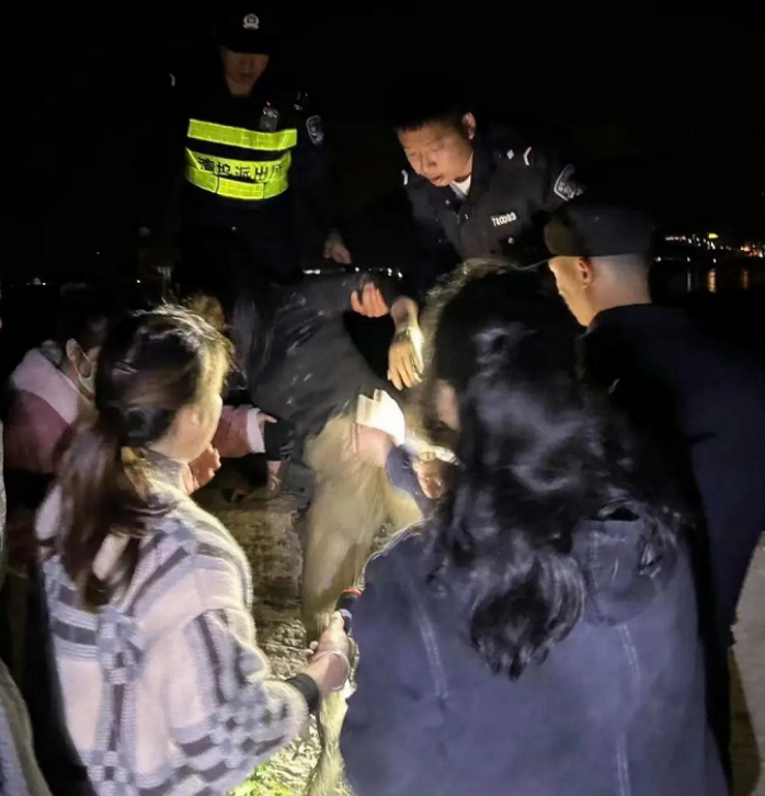 微信截图_20230313144143.png