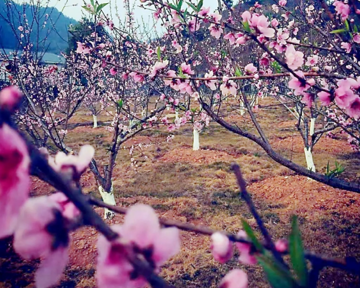 微信截图_20230411113741.png