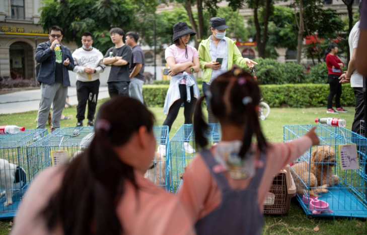 微信截图_20230425132602.png