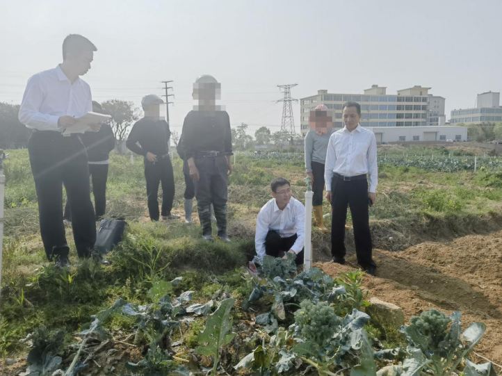 福建漳浦法院：多元化解群体案 高效调执保春耕