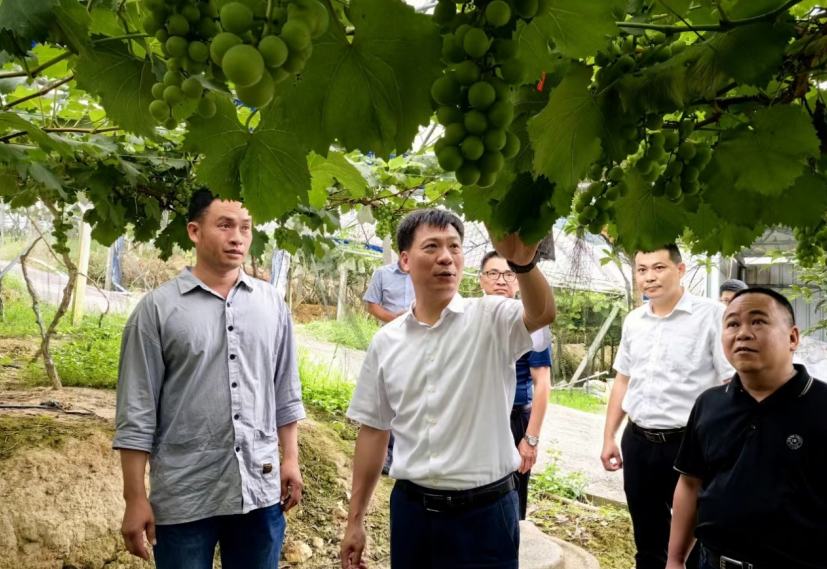 微信截图_20230616105528.png