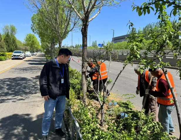 太原小店区唐槐街道：“双线攻坚”专项治理  绘就城市精细化管理新图景