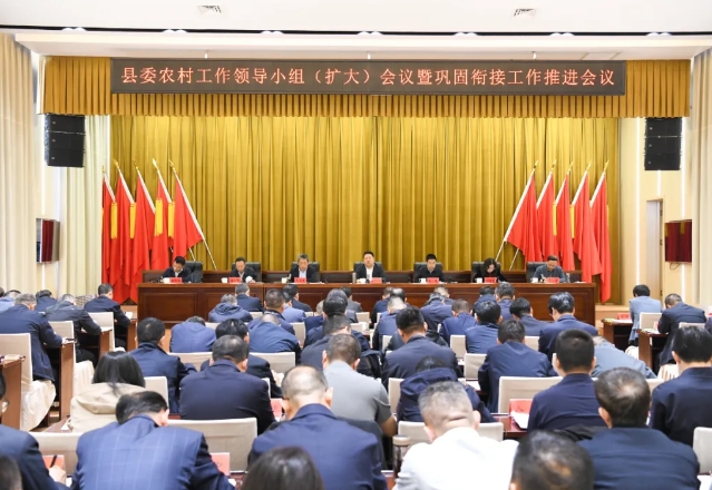 吕梁临县县委农村工作领导小组（扩大）会议暨巩固衔接工作推进会议召开