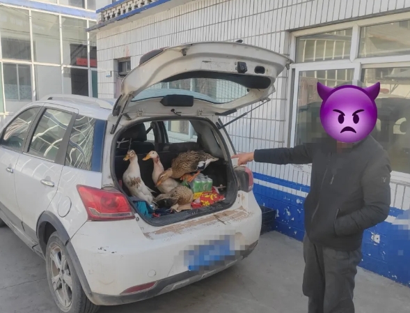微信截图_20250512205916.png
