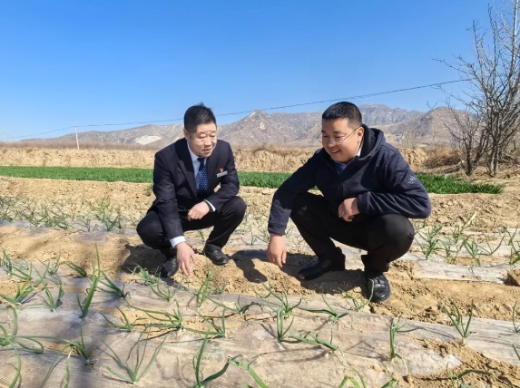 微信截图_20250520094721.png