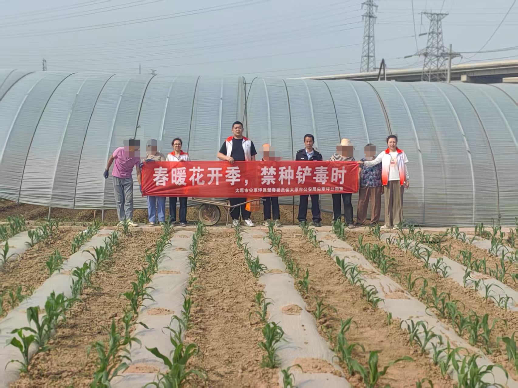 太原尖草坪区：小满时节“毒”不生，田间地头护安宁