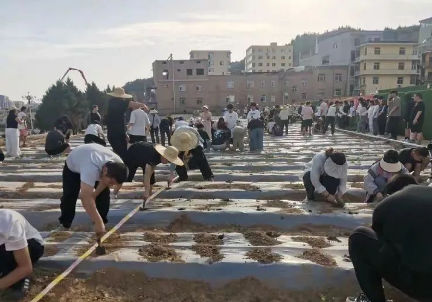 微信截图_20250527130415.png