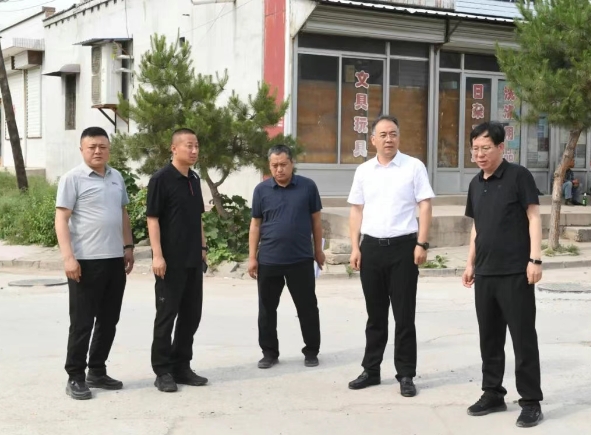 忻州定襄县县委书记赵亚静在南王乡调研