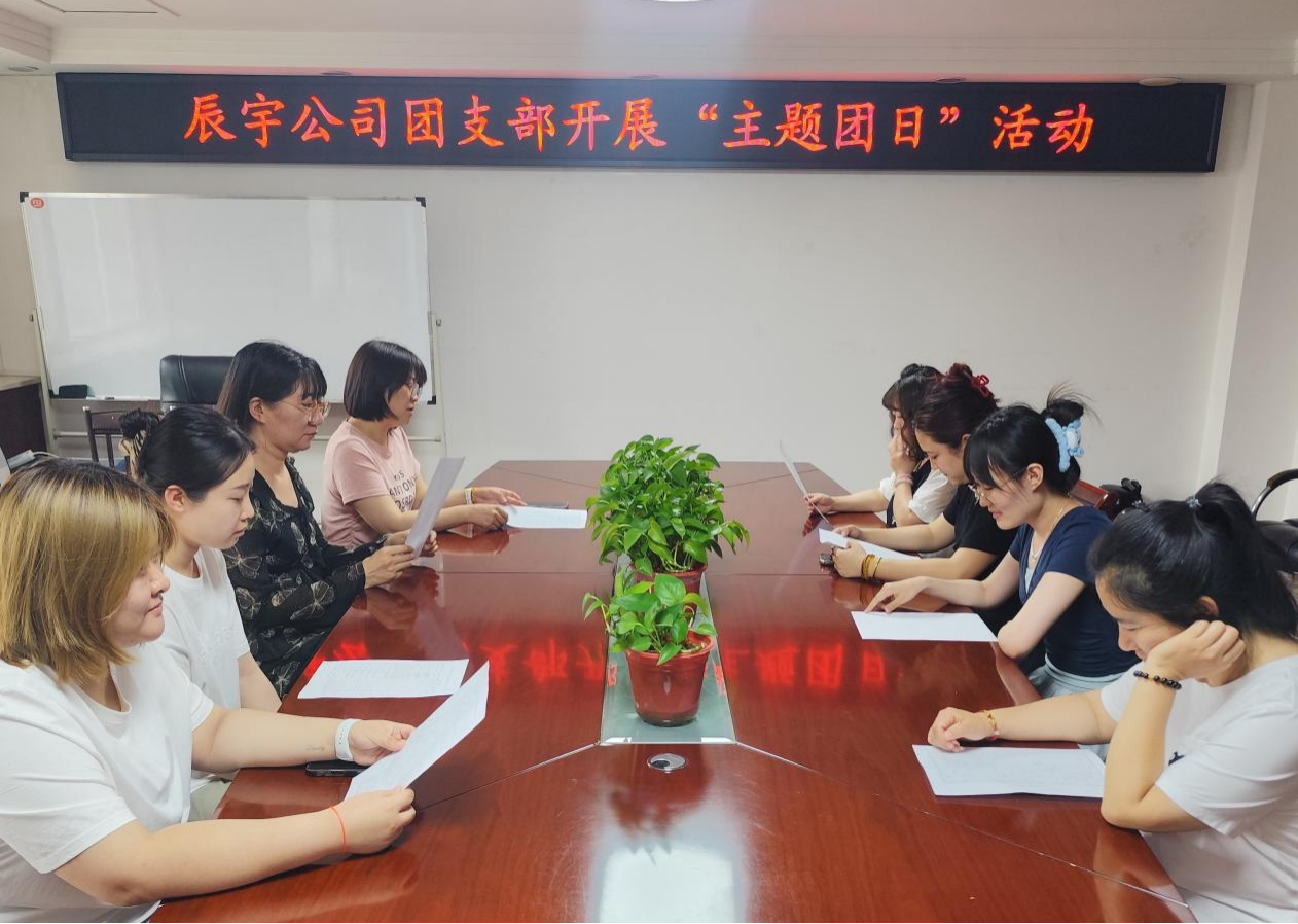 廉洁朴素  严于律己——太原市政集团辰宇公司团支部开展主题团