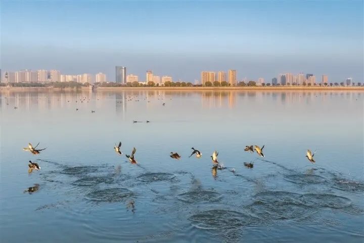 微信图片_20250606221220.jpg