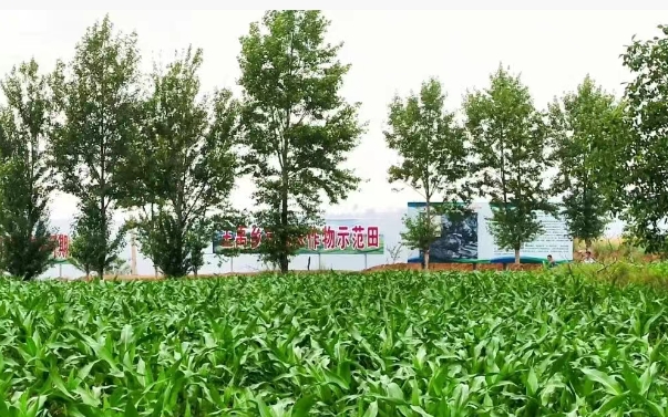 微信截图_20250607174525.png