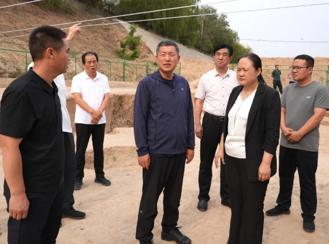 运城河津市委书记孟维君调研古垛南遗址文物保护利用工作