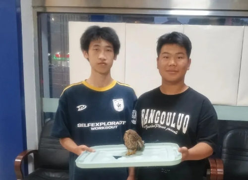 微信截图_20250610162518.png