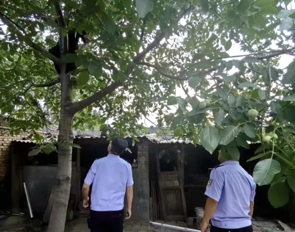 微信截图_20250618215316.png