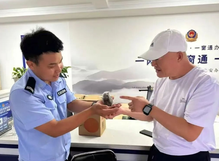 长治：当折翼精灵邂逅藏蓝身影
