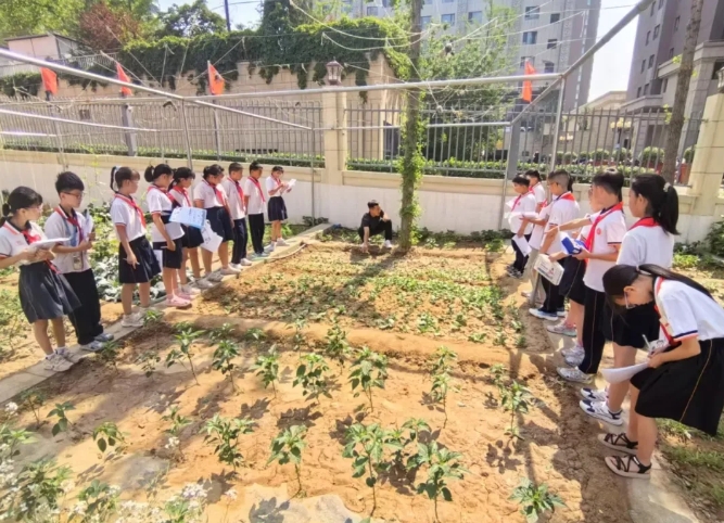 太原小店区实验小学东润校区：点亮劳动教育新课堂