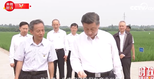 端牢中国饭碗 稻花香里话振兴