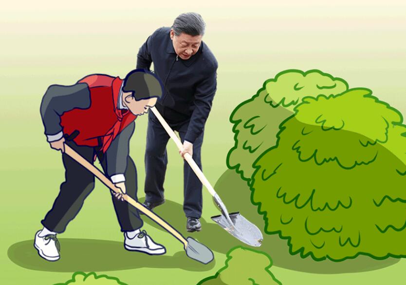 绘学习丨习近平与“树”的故事