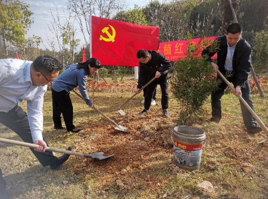 福建高速集团龙岩分公司多措并举解锁植树“新潮流”