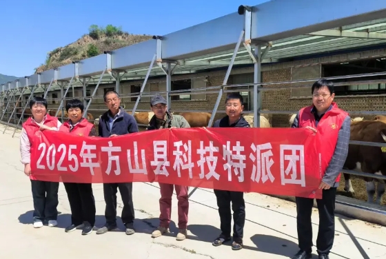 微信截图_20250529102407.png