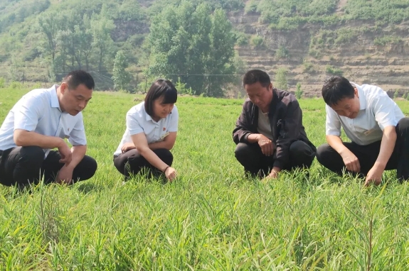临汾古县农商银行： 深耕三农沃土，激活乡村振兴“一池春水”
