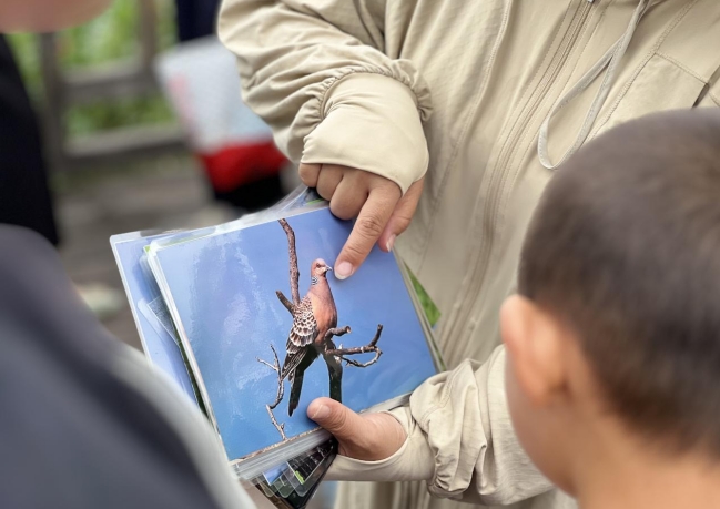 微信截图_20250601125118.png