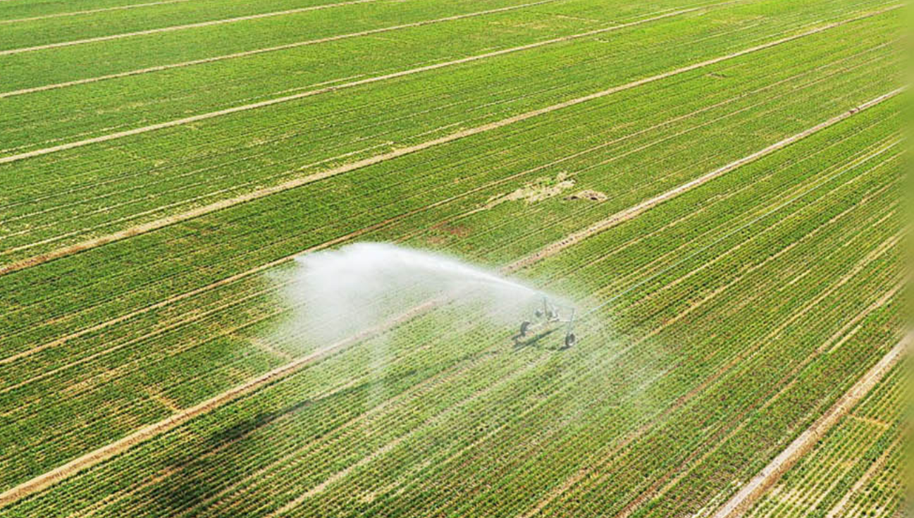 春耕备耕忙 粮食生产开局稳（坚定信心 开局起步）