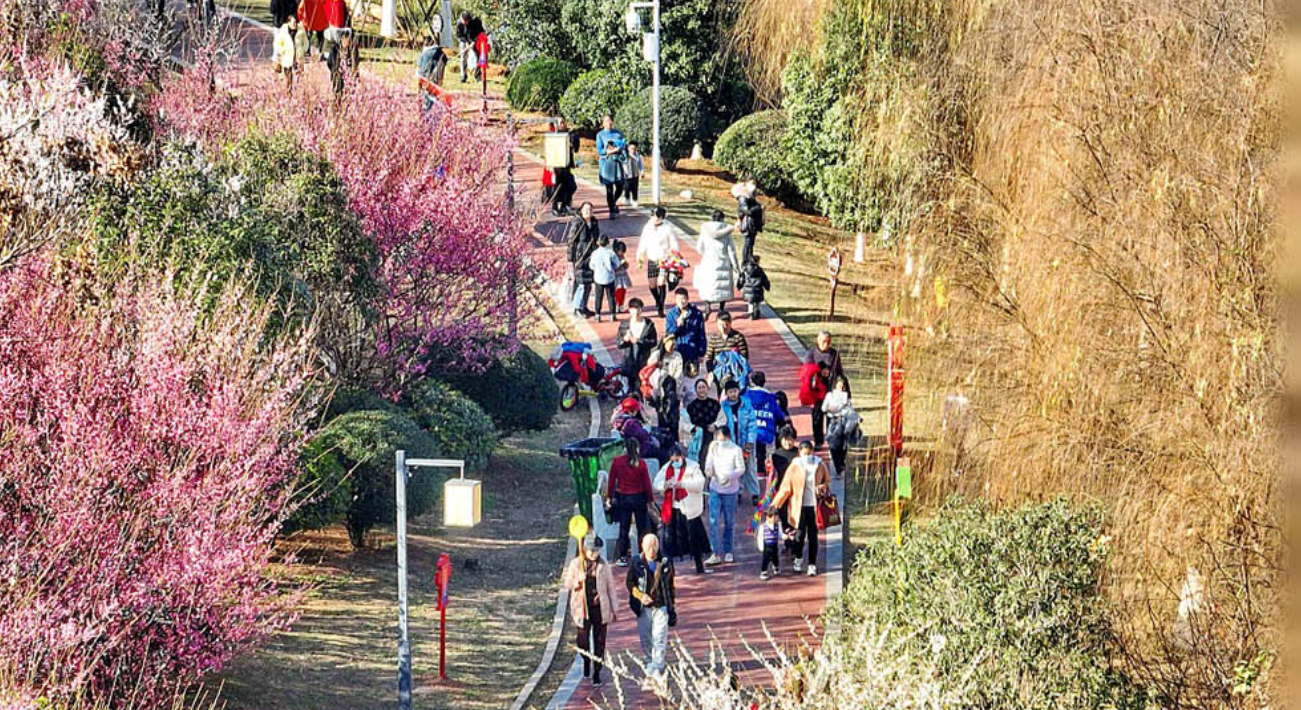 “五个一百”，力量在于汇聚、团结催人奋进