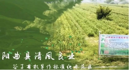 太原阳曲：培育“新农人” 唱响“新农歌”
