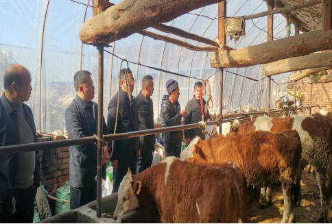 太原娄烦:外出学习取牛经 拓展养牛新视野273.png
