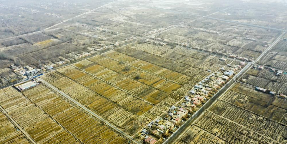 十年两会·温暖记忆｜“种下石榴树，开出团结花”