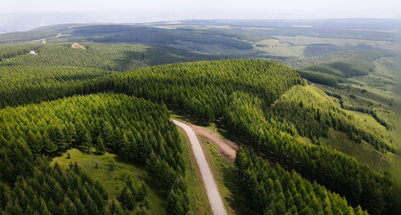 【总书记的人民情怀】绿色发展 美丽家园