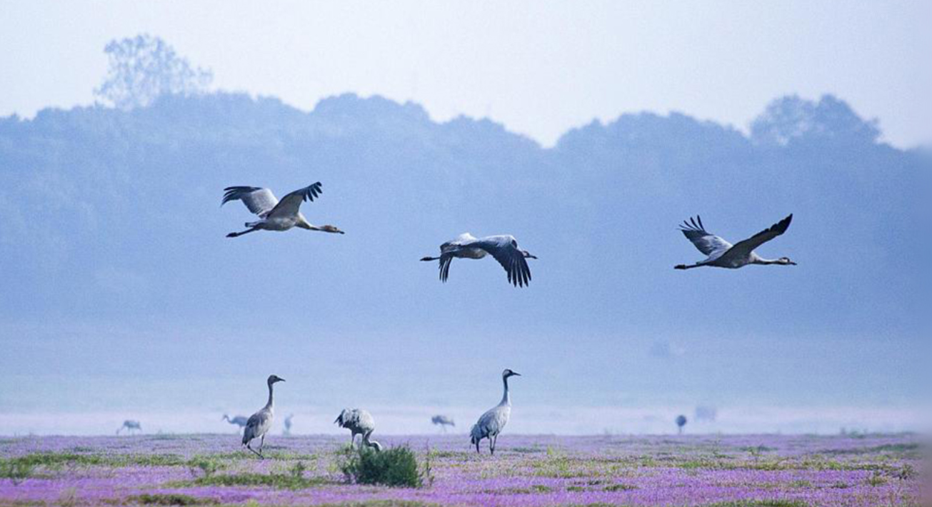 各地区各部门持续推进生态保护修复
