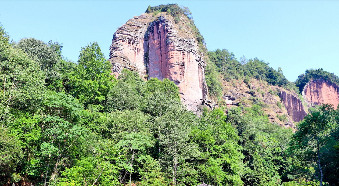 【大国基理】看福建三明林改如何成就生态美百姓富