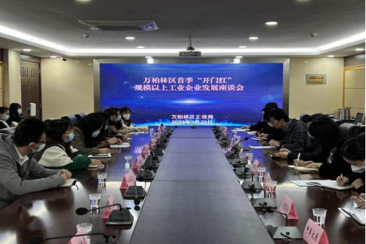 太原万柏林区首季“开门红”规上工业企业发展座谈会