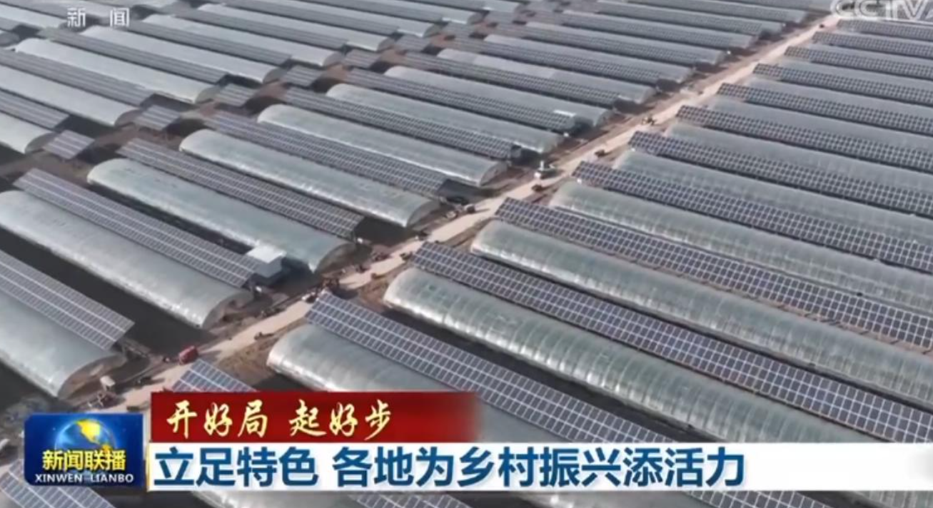 【开好局 起好步】立足特色 各地为乡村振兴添活力