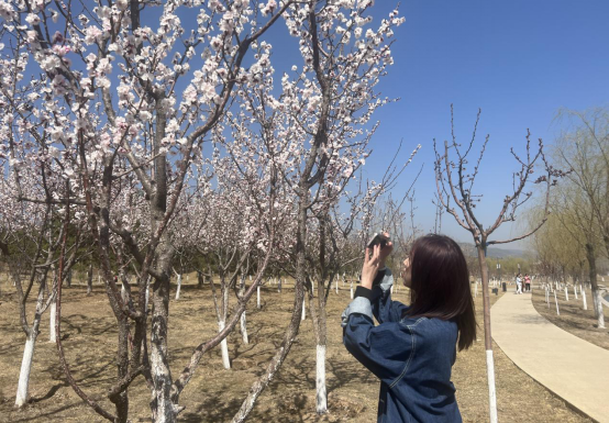 太原植物园：踏青赏花 不负好春光