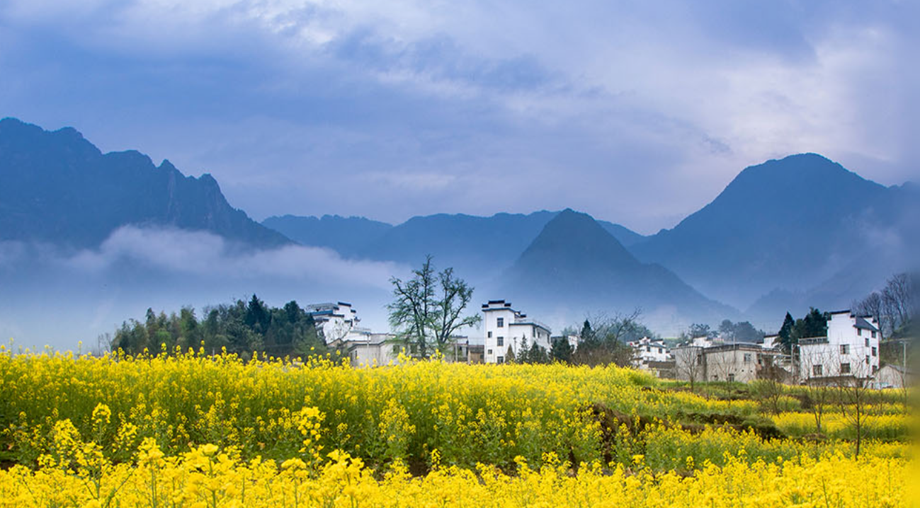 天下一家｜坚持人与自然和谐共生