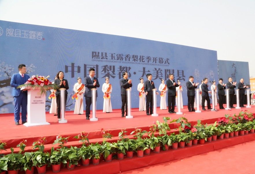 临汾隰县玉露香梨花季系列活动正式开幕