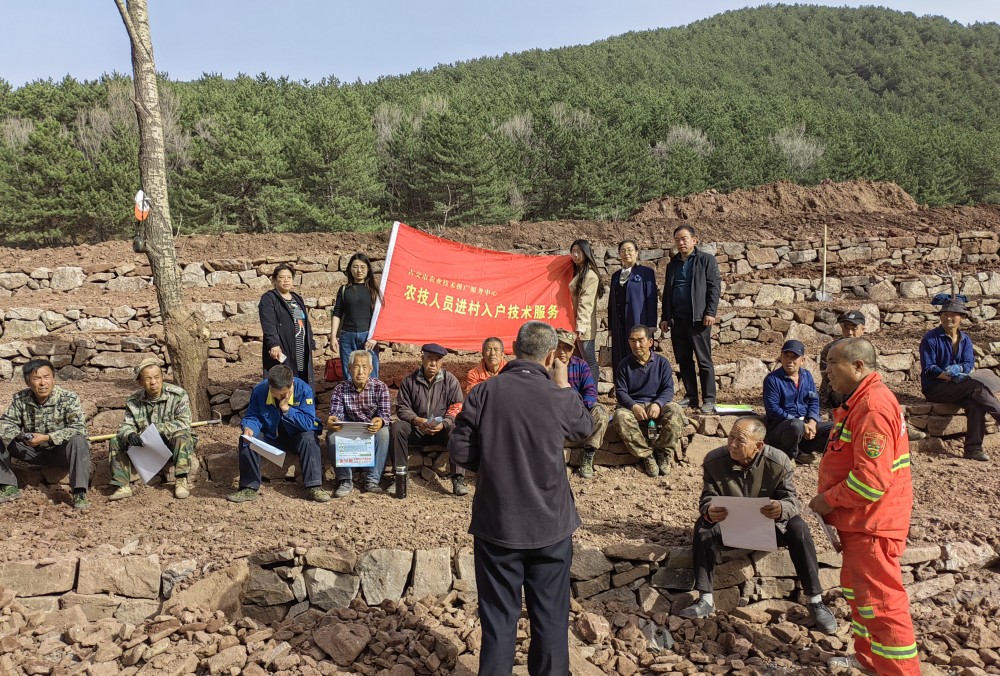 太原古交：“田间课堂”助力大豆玉米带状复合种植扩面增效