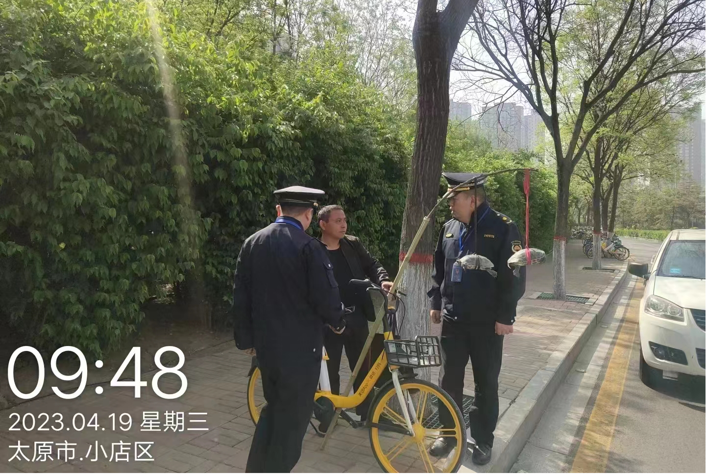 太原市城管执法队：整治占道挑杆售龟  持续净化市容环境