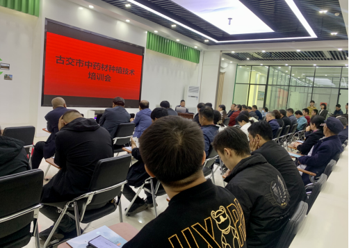 太原古交市：中药材种植成乡村振兴亮点产业