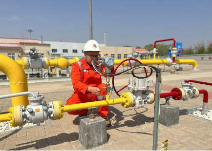 王晓明：“硬核”导师扛起“硬核”担当