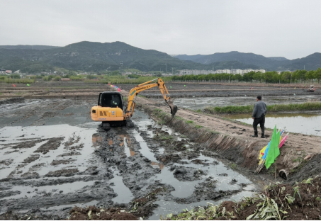 太原晋祠镇索村：稻田重现泉水复流