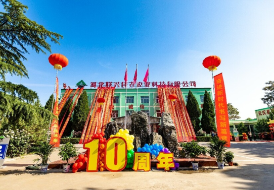 十载春华秋实   今朝辉光日新——河北联兴佳垚十周年庆典举办圆满成功