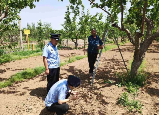 临汾隰县公安：禁种铲毒  我们在行动！