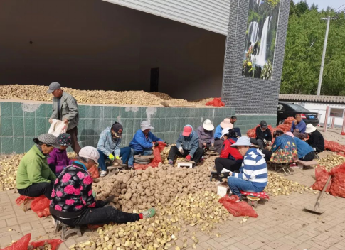 太原娄烦天池店乡：人勤春来早  不负春光好