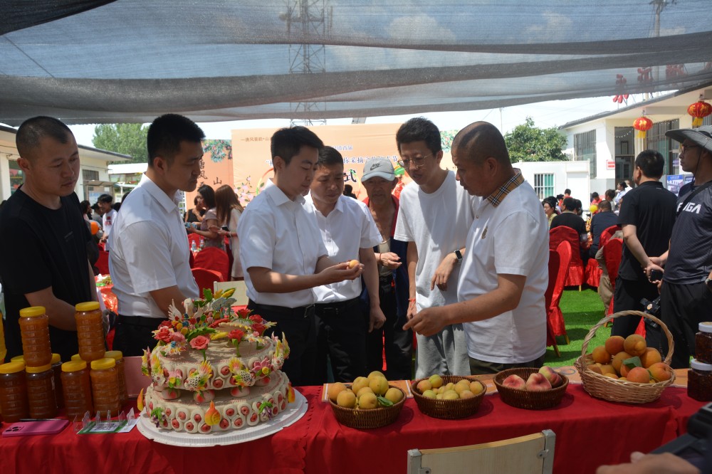 太原晋源区姚村镇首届“‘桃’醉姚村 ·‘杏’福有你”采摘文化艺术节开幕